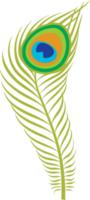 Peacock Feather PNG Illustration
