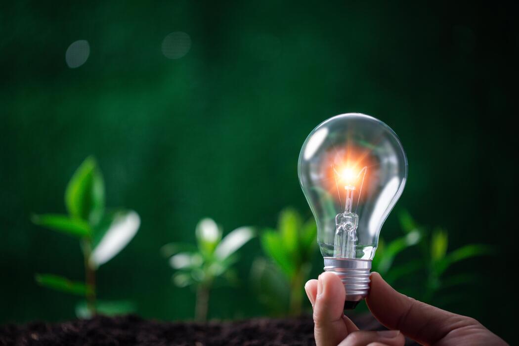 Green Idea Stock Photos, Images and Backgrounds for Free Download