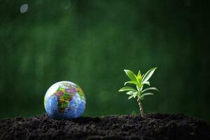 Concept of renewable energy innovation and green earth. Sustainable clean energy sources. Environmental protection, Idea sustainable energy sources.Tree and globe on soil on green nature background. photo