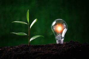 Concept of renewable energy innovation and green earth. Sustainable clean energy sources. Environmental protection, Idea sustainable energy sources. Light bulb put on soil on green nature background. photo