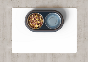 Pet bowl mat on the floor at home. Transparent PNG. Cat or dog food pad with copy space for picture or text. Water mat mock up. Pet placemat mockup. Puppy feeding place. 3D Rendering. png