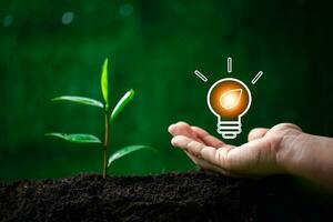 Concept of renewable energy innovation and green earth. Sustainable clean energy sources. Environmental protection, Idea sustainable energy sources. Hand holding light bulb on green nature background. photo