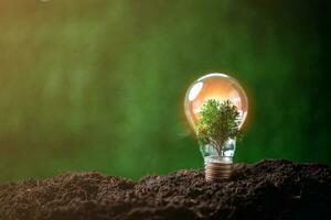 Concept of renewable energy innovation and green earth. Sustainable clean energy sources. Environmental protection, Idea sustainable energy sources. Light bulb put on soil on green nature background. photo