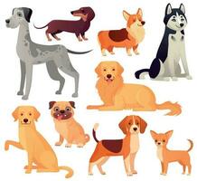 perros mascotas personaje. Labrador perro, dorado perdiguero y fornido. dibujos animados vector aislado ilustración conjunto