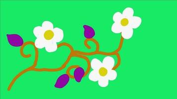 Beautiful cartoon flower animation on green screen video