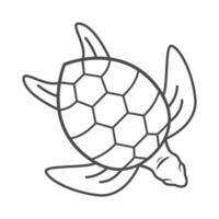 Tortuga logo icono diseño vector