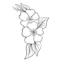 Hand Drawing Flower Vector Outline Illustration