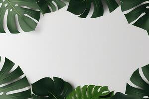 Green leaves monstera nature frame layout of tropical plant bush on white background. photo