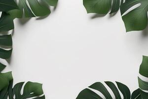 Green leaves monstera nature frame layout of tropical plant bush on white background. photo