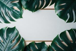 Green leaves monstera nature frame layout of tropical plant bush on white background. photo