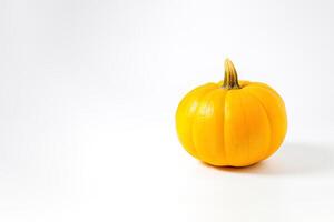 Fresh orange pumpkin isolated on white background. photo