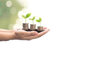 Growth finance concept. Plant growing on the coin in hand for wealth saving money and investment success on white background. photo