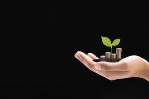 Growth finance concept. Plant growing on the coin in hand for wealth saving money and investment success on black background. photo