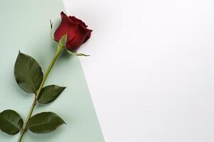 Beautiful red rose as a symbol of love on pastel background. photo