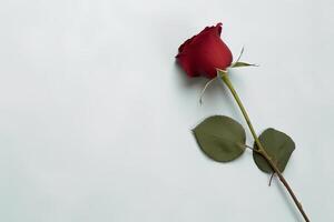 hermosa rojo Rosa como un símbolo de amor en pastel antecedentes. ai generado foto