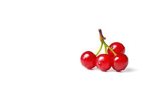 Delicious ripe sweet cherries on white background with copy space. photo