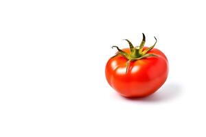 Fresh whole red tomato isolated on white background with copy space. photo