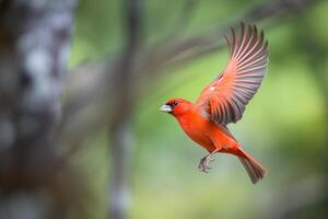 majestuoso pájaro en vuelo en contra un borroso antecedentes. ai generado foto