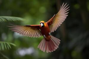 majestic bird in flight against a blurred background. photo