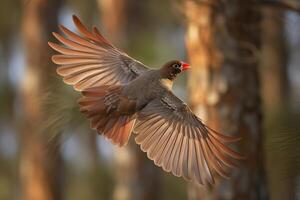 majestic bird in flight against a blurred background. photo