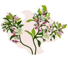 Blooming tree. Vector isolated illustration. Summer garden.