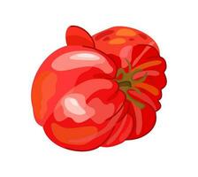 feo tomate. vector usado ilustración de imperfecto sabroso vegetal. realidad concepto.