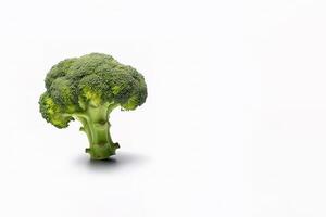 Fresh broccoli isolated on white background with copy space. photo