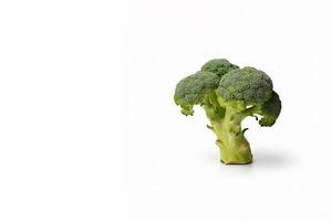 Fresh broccoli isolated on white background with copy space. photo