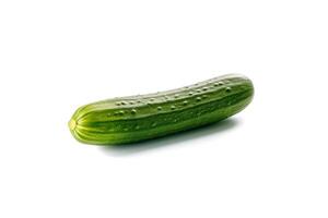 One fresh green cucumber isolated on white background. photo