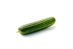 One fresh green cucumber isolated on white background. photo