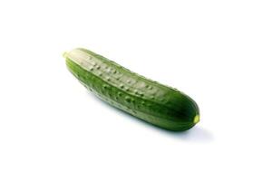 One fresh green cucumber isolated on white background. photo