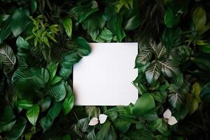 White paper card on lay green leaves texture top view background. Creative layout in nature concept. photo