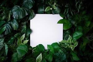 White paper card on lay green leaves texture top view background. Creative layout in nature concept. photo