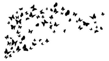 Flying black silhouettes of butterflies. Vector design element