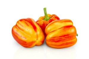 Three striped red-yellow sweet peppers on a white background. Isolated. photo