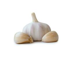 Single fresh white garlic bulb with segments isolated on white background with clipping path, Thai herb is great for healing several severe diseases, heart attack, Hyperlipidemia or Dyslipidemia, photo