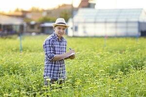 asiático jardinero es tomando Nota utilizando acortar tablero en el crecimiento y salud de amarillo zinnia mientras trabajando en su rural campo granja para medicinal hierba y cortar flor uso foto