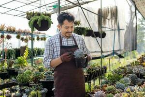 Asian gardener is working inside the greenhouse full of succulent plants collection while propagating by leaf cutting method for ornamental garden and leisure hobby photo