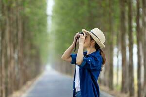 asiático turista mujer es tomando foto utilizando profesional cámara mientras teniendo vacaciones a el nacional parque mientras caminando en el la carretera con columna de árbol para viaje y fotografía concepto