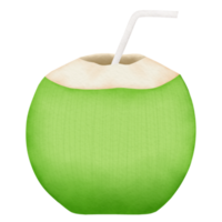 Coconut drink watercolor illustration png