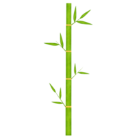 verde bambu aguarela ilustração png