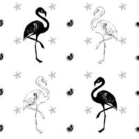 Seamless pattern with flamingos, shells and starfish, black and white sketch. Hand drawing, doodle, vector