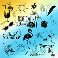 Set of summer elements, symbols and emblems. Palm trees, sunset, flamingos, shells, starfish, tropical plants, sunglasses, sailboat, cocktail. Vector, hand drawing, black and white sketch vector