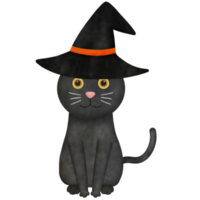 black cat with hat watercolor illustration png