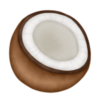 fresh half coconut watercolor illustration png