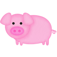 pig cartoon watercolor illustration png