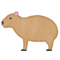 capybara cartoon watercolor illustration png