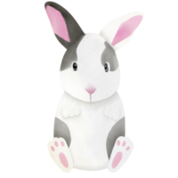 grey and white rabbit sitting illustration png