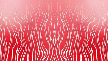 white color wavy abstract lines moving over red background video
