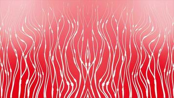 white color wavy abstract lines moving over red background video